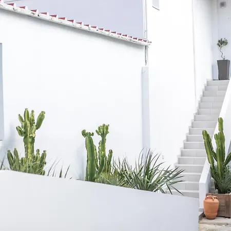 Apartment Olea Luxury Afantou